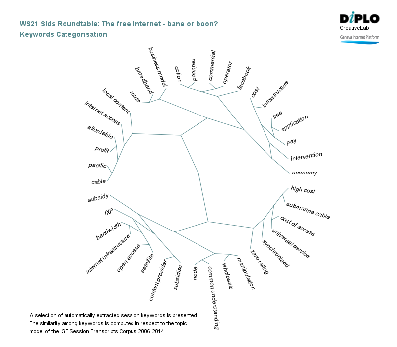 SIDS roundtable: The "free internet" - bane or boon? 6 Figure 5a 16