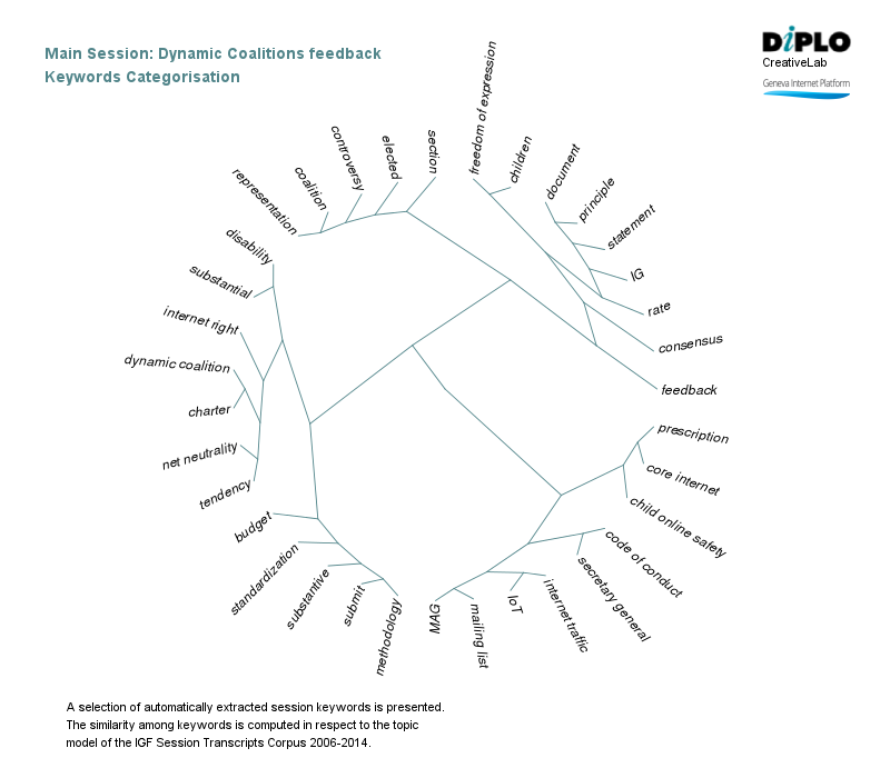 IGF dynamic coalitions - II 6 Figure 5a 24